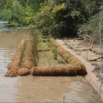 Coir Logs: Unveiling the Secrets to Successful Erosion Control