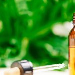 Opening the Force of CBD Oil: All encompassing Mending for the Cutting edge Age